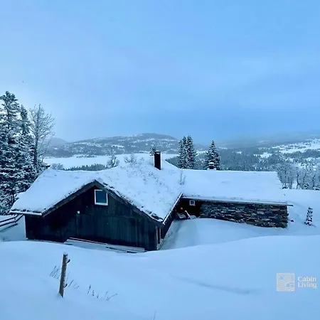 Cozy Mountain In With Stunning Views Σπίτι διακοπών Flå